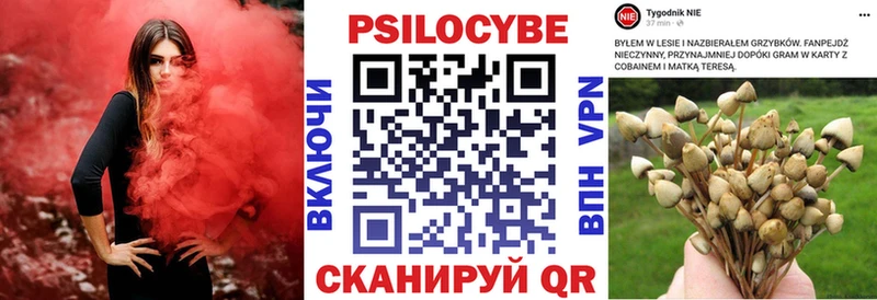 Псилоцибиновые грибы MAGIC MUSHROOMS  Крымск 