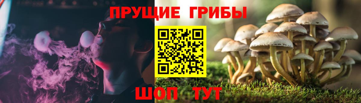 Галлюциногенные грибы MAGIC MUSHROOMS Крымск